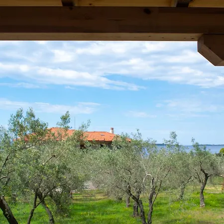 Nyaraló Ml Aretes *